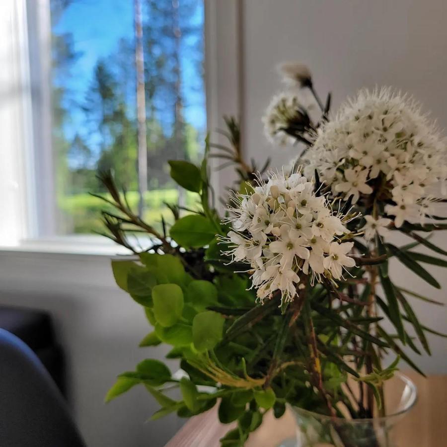 Siikavilla, Siikajoki Kültér fotó